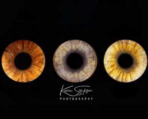 Iris-Eyes-Three-Photography