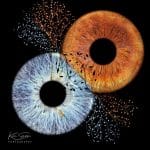 Iris-Photos-Ayrshire