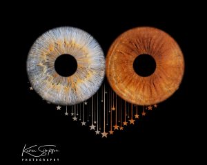 Eye-Photos-Scotland-Ayrshire