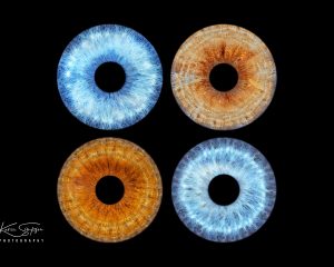 Eyes-Photos-Ayrshire-Plain