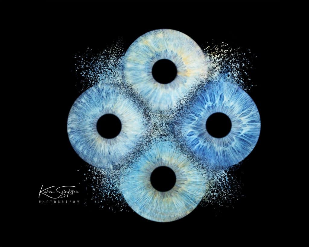 Iris-Scotland-Photography four blue eyes smashing together
