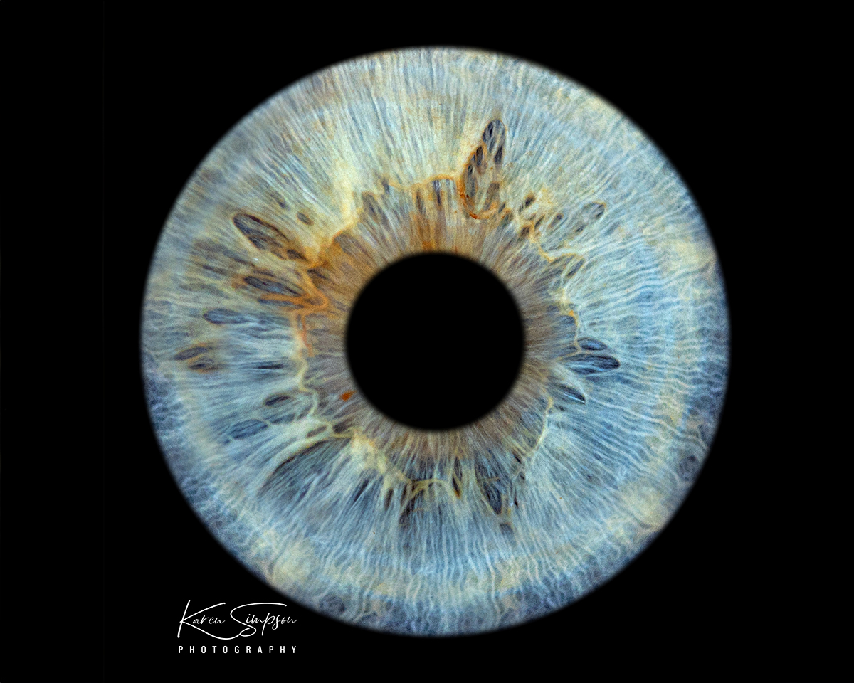 Origins of the Word ‘Iris’