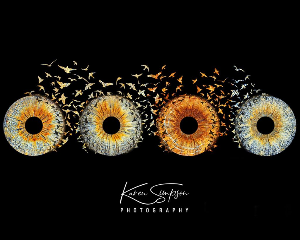 Scotland-Iris-Studio-Birds-Eyes Iris photo with birds coming out Iris