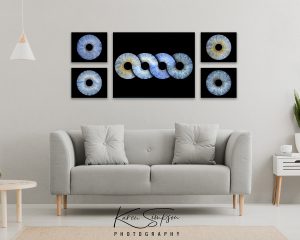 Wall-Art-Karen-Simpson-Photography