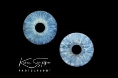 Blue-eyes-plain-eye-photo