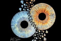Eye-Photography-Scotland-Ayrshire