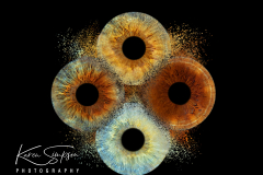 Eye-Photography-Scotland-Four-Collison