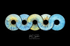 Five-Iris-Eye-Photography