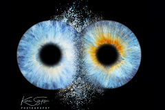 Iris-Collison-Edit-Two