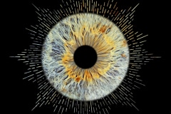 Iris-Star-Shield-46