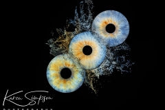 Iris-Water-Photography-Three