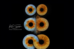 Three-Edits-Iris-Love