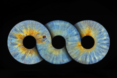 Triple-Iris-Infinity