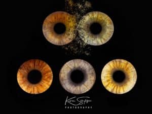 family eye photo